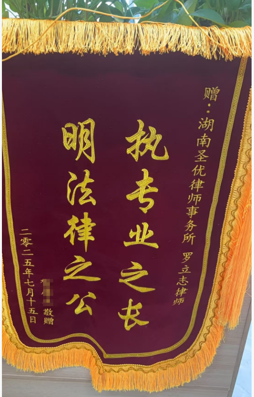 律师与客户深入沟通案件细节