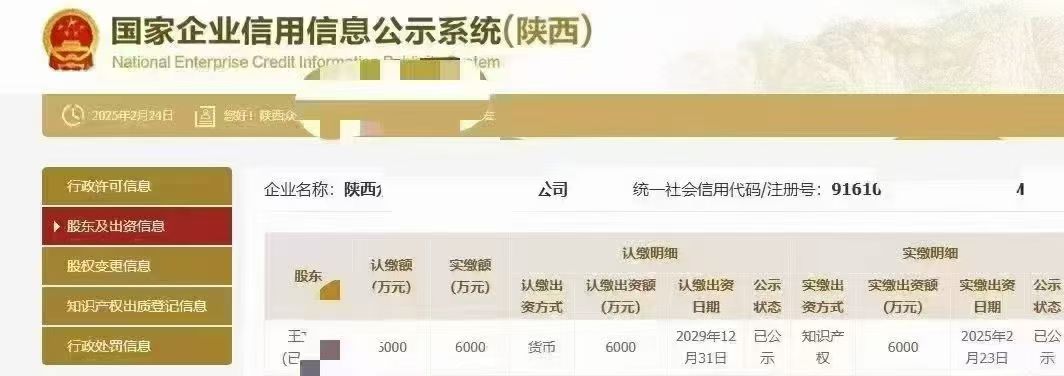 企业服务蓝图，涵盖企业注册资本金实缴等多项服务