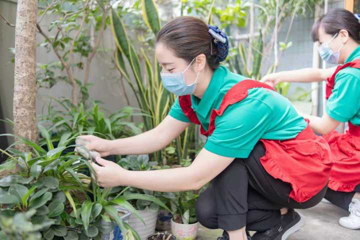 小儿推拿手法示范