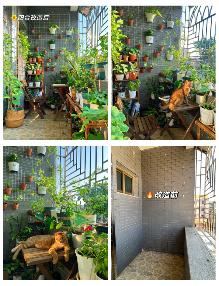 2025年11月阳台改造厂家好评榜：阳台改造