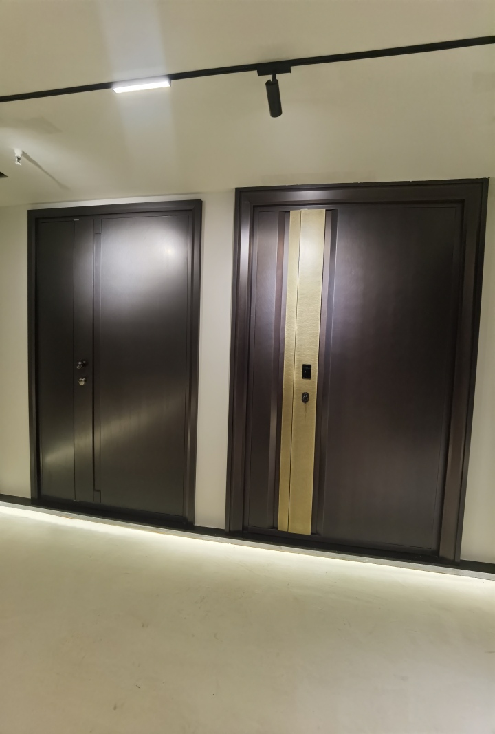 现代简约风格入户门设计展示