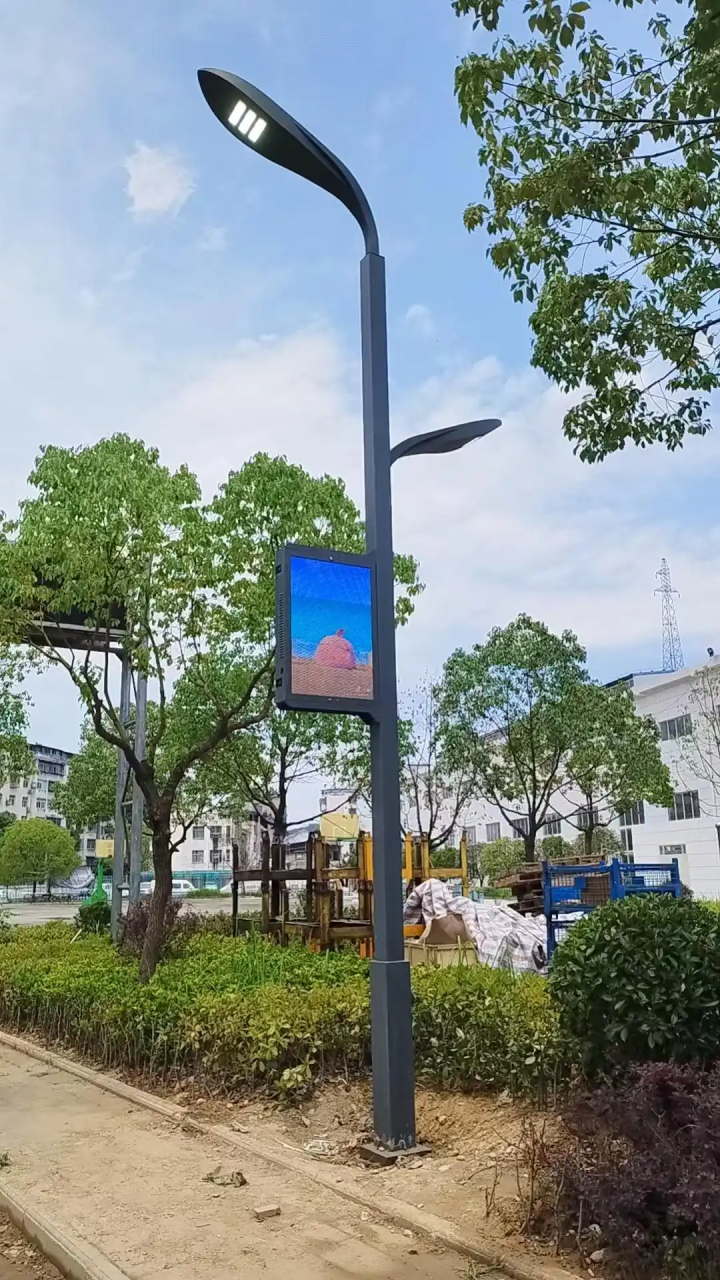 智慧路灯多功能集成示意图