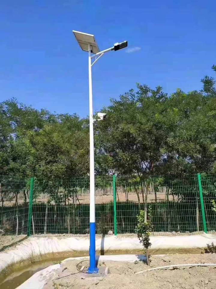 抱箍式路灯夜间实景照明