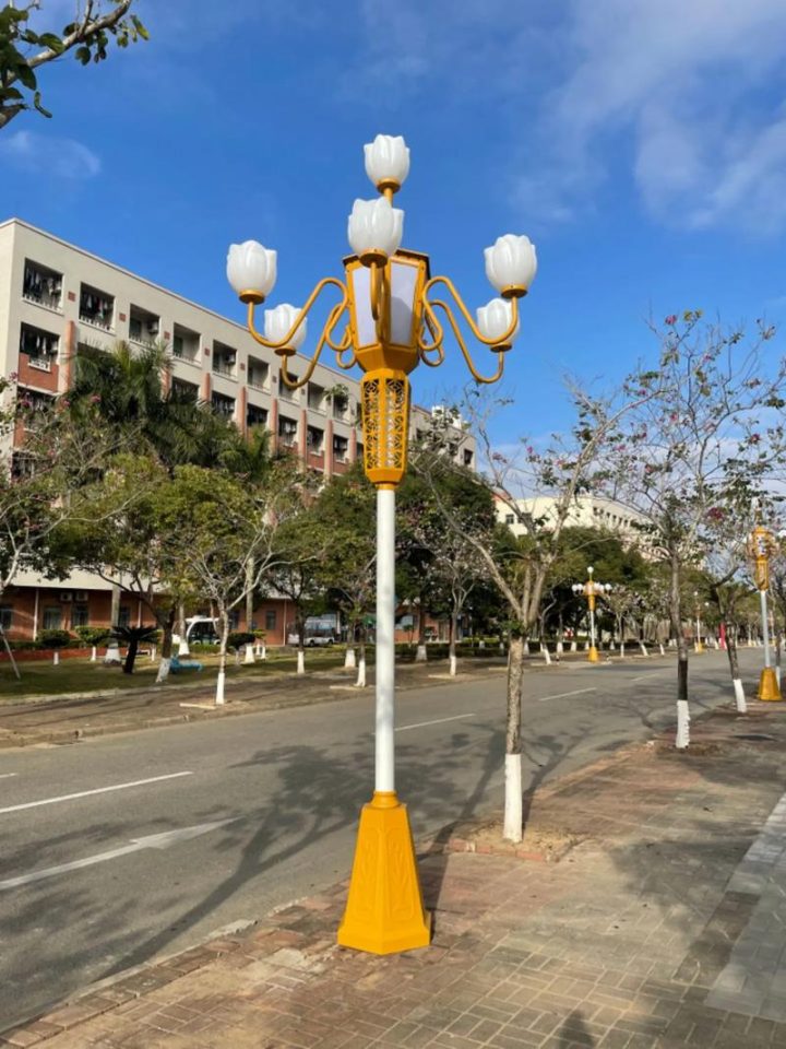 中华灯城市道路应用效果