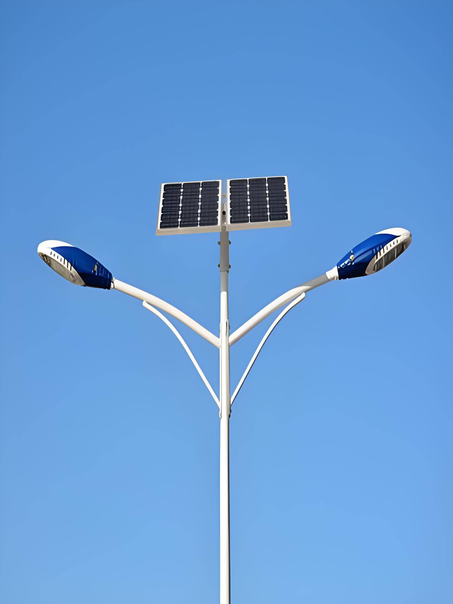 太阳能路灯工程实景图