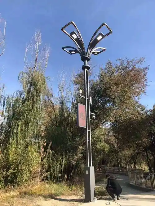 艺术类灯杆夜景效果展示