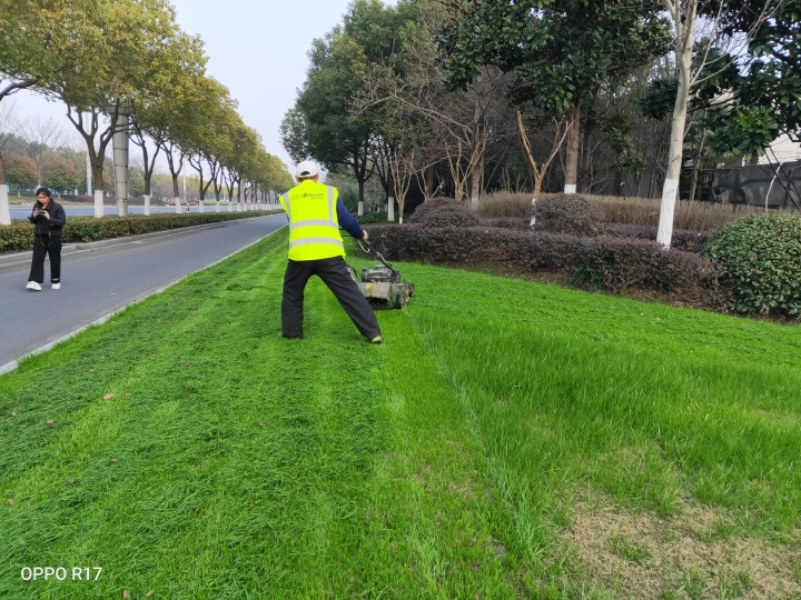 团队协作进行精细化市政道路清洗