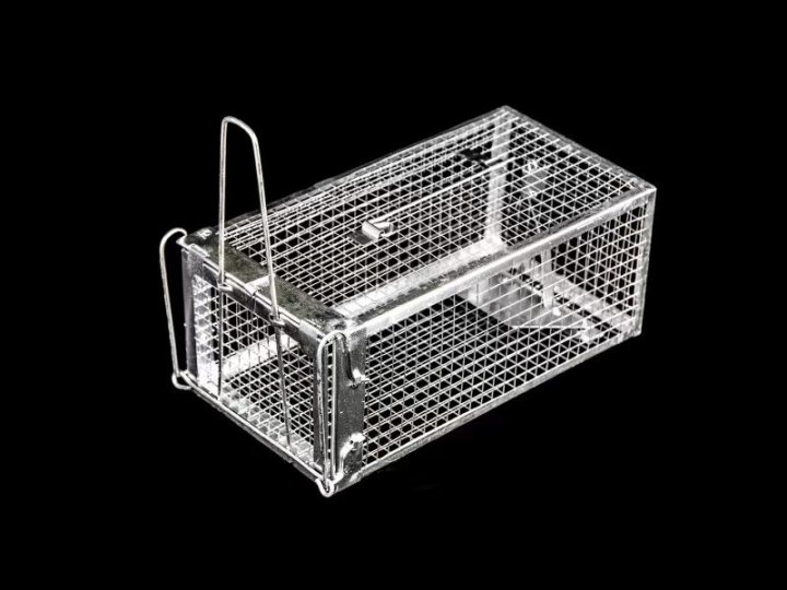 专业捕鼠解决方案示意图