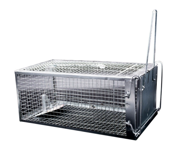 顺发牌捕鼠器产品展示