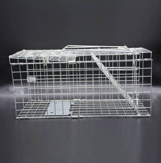 多种类型老鼠笼对比展示