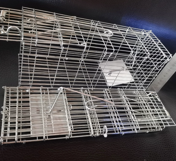 老鼠笼在仓储环境中的实际部署