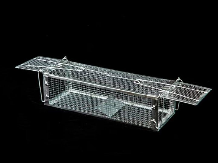 人道捕捉设计示意：动物在笼内安全无伤