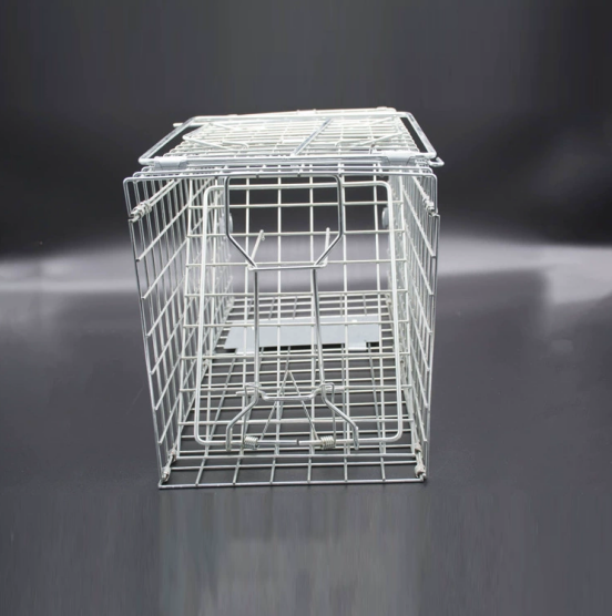 不同场景下的捕鼠解决方案