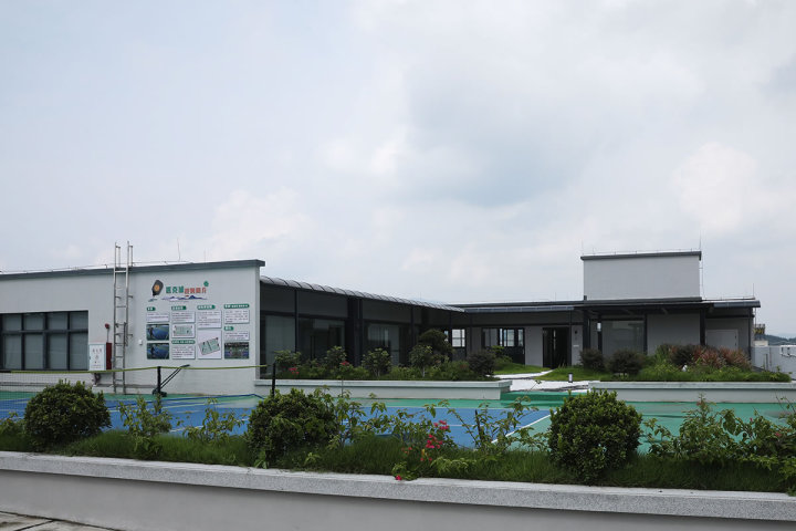 匹克球拍成品展示与包装