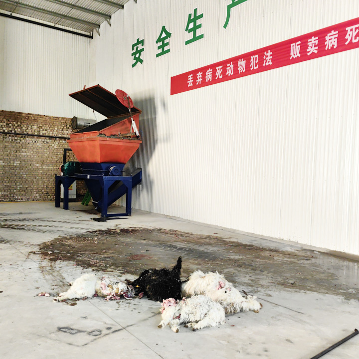 肉骨粉成品展示