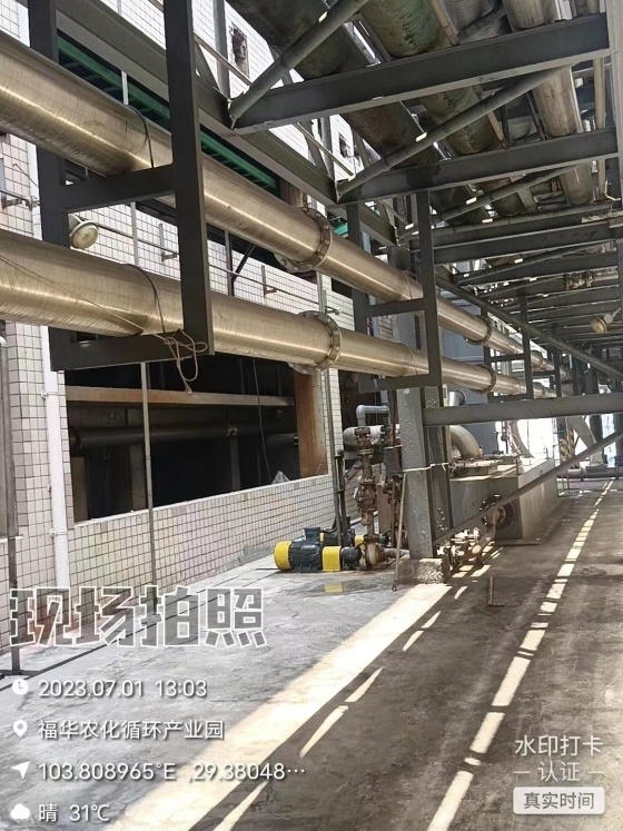 弗格森管链输送机应用现场