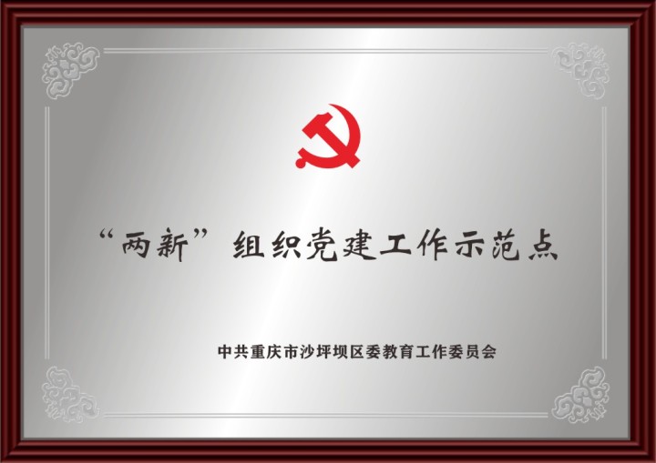 南丁卫校校园文化活动