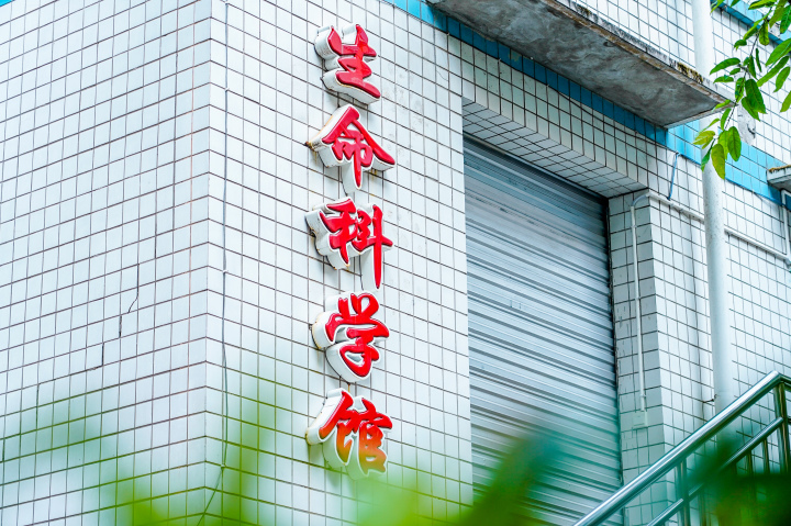 南丁卫校丰富多彩的校园社团活动