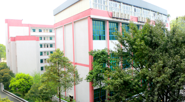 综合高中课堂与分层教学场景