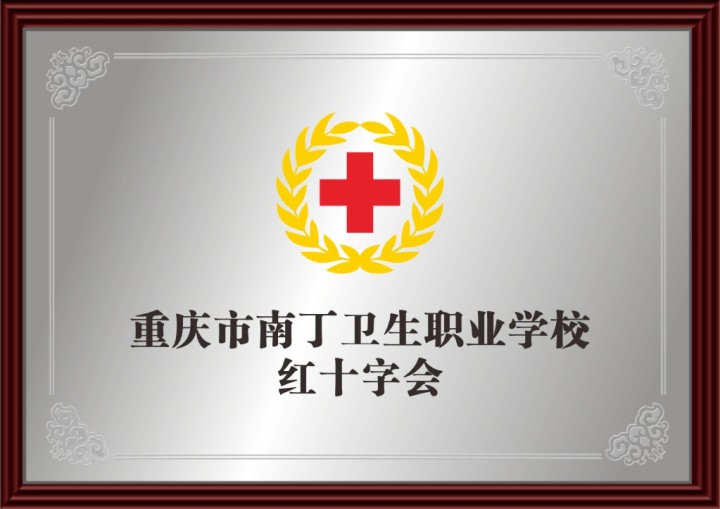 2026年重庆卫生学校公司口碑推荐榜/南丁综合高中复读报名，