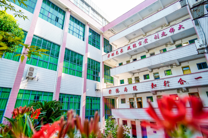实训教学