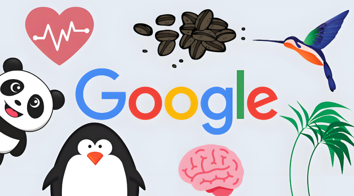 小语种站群与SEO运营策略