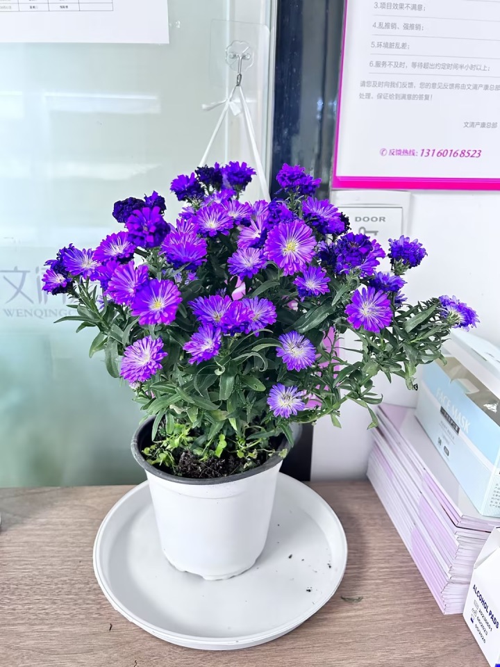 2026年产后修复公司最新推荐排行榜，产后