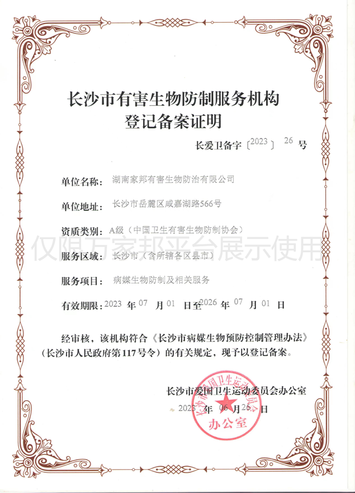 专业团队进行白蚁预防勘察施工