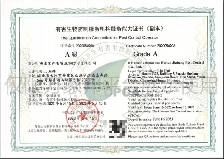 家庭灭鼠施工与效果保障