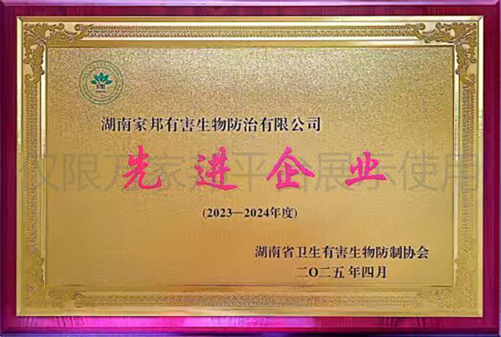 别墅灭鼠与白蚁防治现场