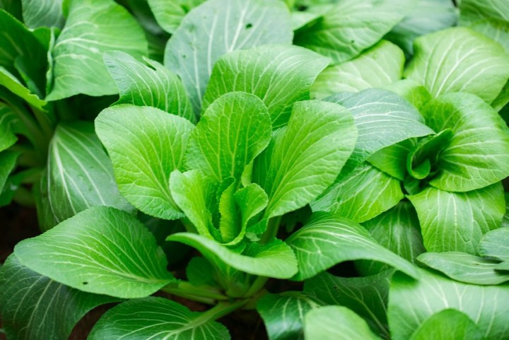 民宿内部宽敞通透的现代田园风格空间