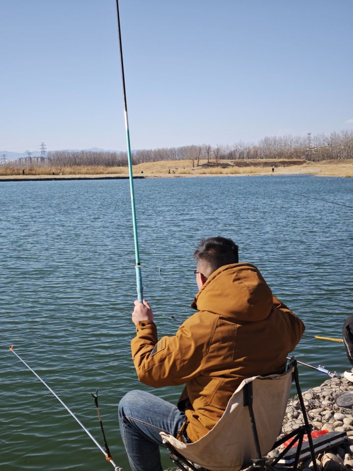 2026年仙居民宿机构品牌推荐榜，宾馆/农家乐