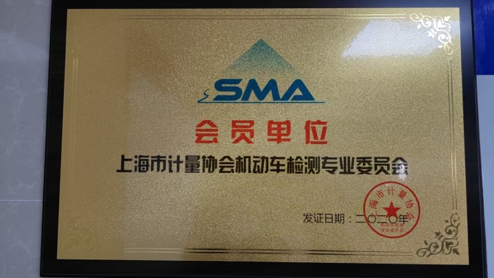 专业技师正在进行车辆底盘检查