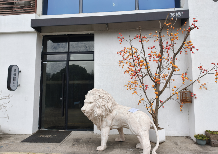 苏栖文化园林拍摄现场