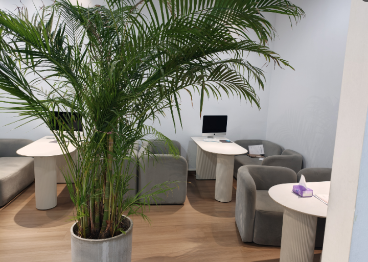 2026年吴江个性写真机构实力推荐：汉服/战国袍/明制汉服/