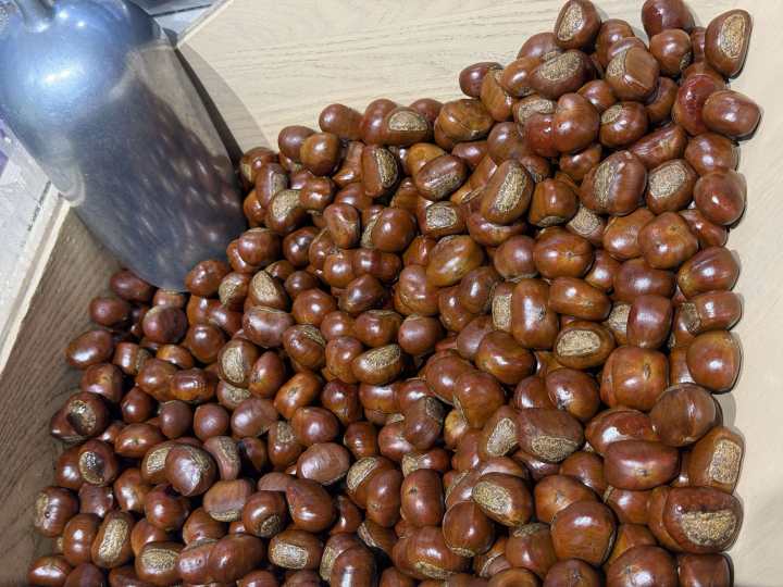 迁西板栗人工精细筛选