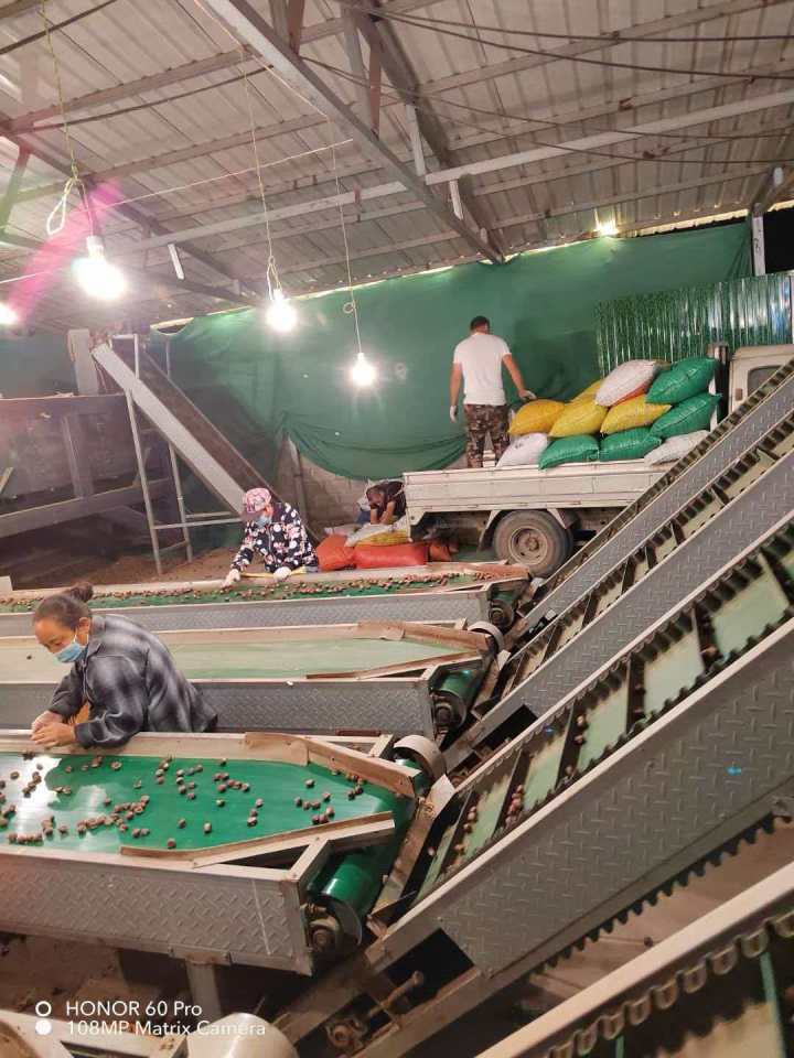 2026年迁西板栗公司最新排名榜单