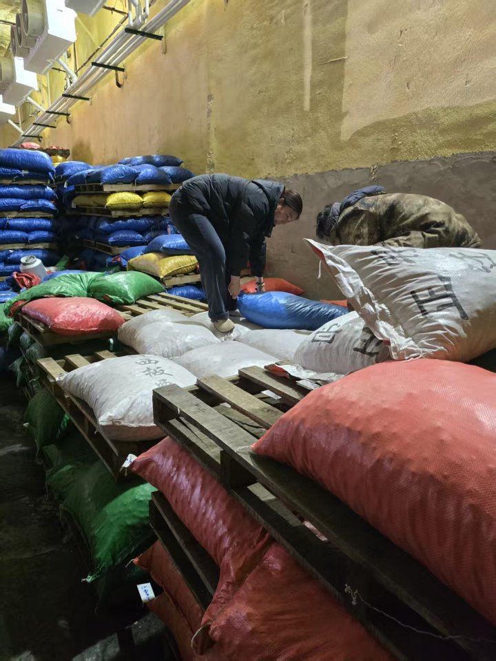 迁西板栗成品展示