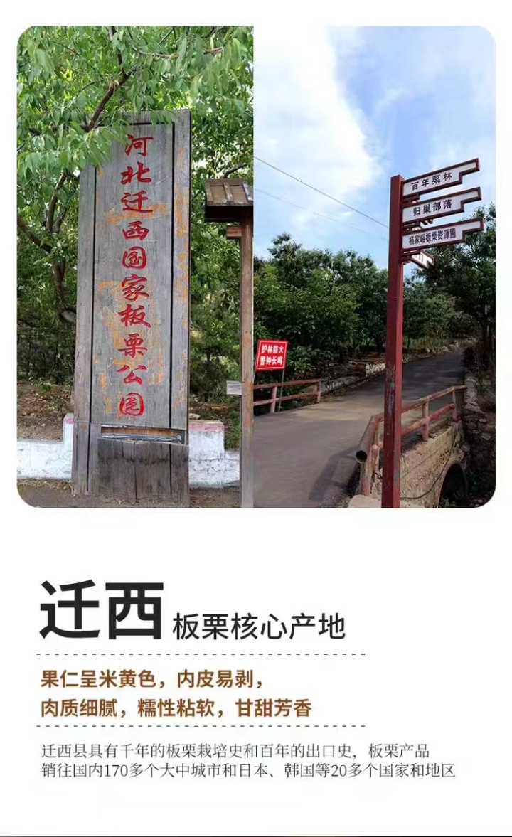 包装精美的板栗礼盒