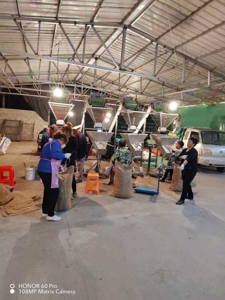 包装精美的板栗礼盒