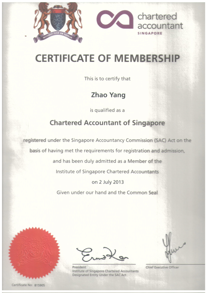 2026年新加坡公司公司评价排行榜