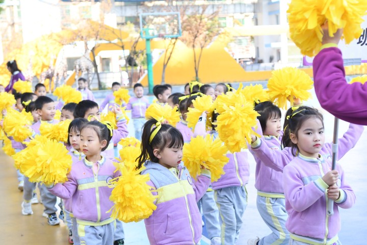 金色童年幼稚园自然探索课记录