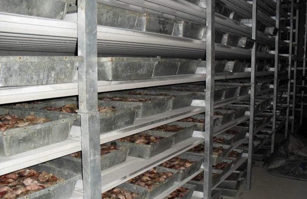 速冻冷库核心技术展示