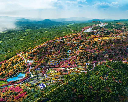 石里红枫景区森林景观