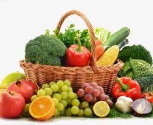 蔬果冷库内部实景