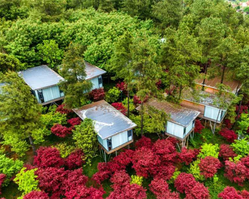 2026年避暑房公司最新排行榜：康养房/避暑别墅/避暑旅居房