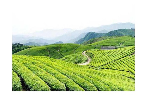 2026年蔬果冷库厂家推荐榜