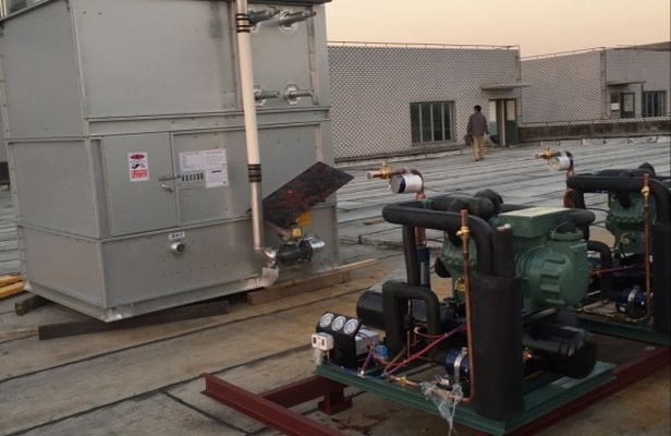 专业速冻冷库生产车间