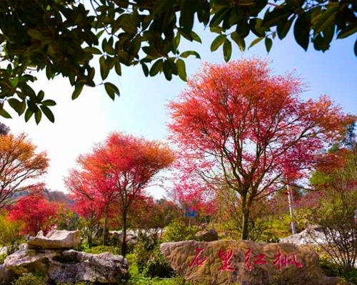 石里红枫度假区休闲配套