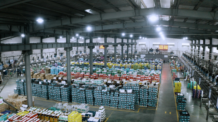 美缝剂色彩展示与应用